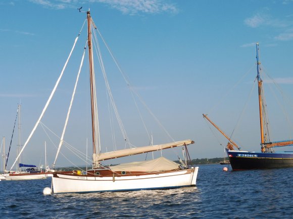 Bateaux VdC 24/Daisy-2.jpg
