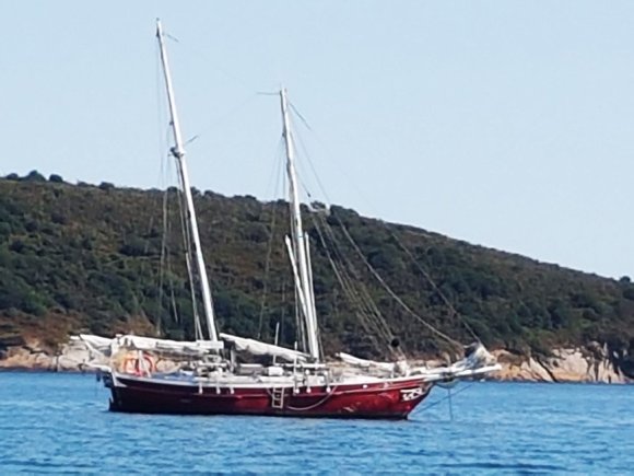Bateaux VdC 24/Lucie Maria-3.jpg