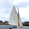 Bateaux VdC 24/Petrel.jpg